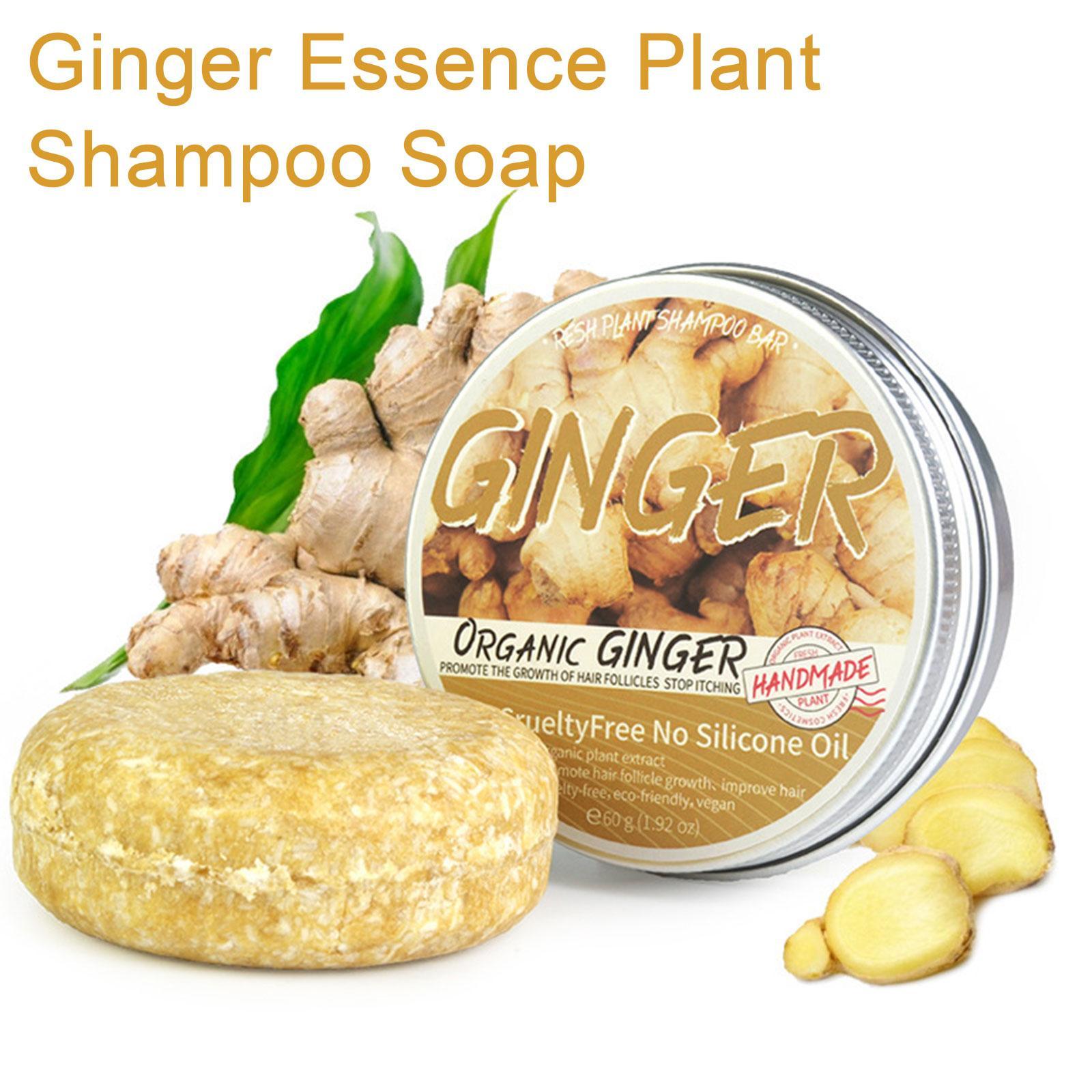 Ginger Polygonum Soap Shampoo  - Hair Care Organic recension och pris
